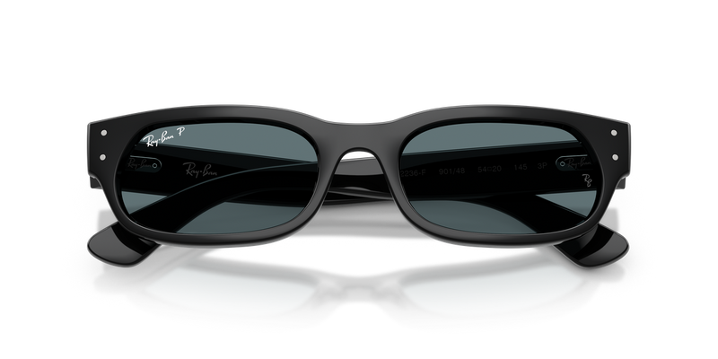 Ray-Ban RB2236F in Black - Alternate View