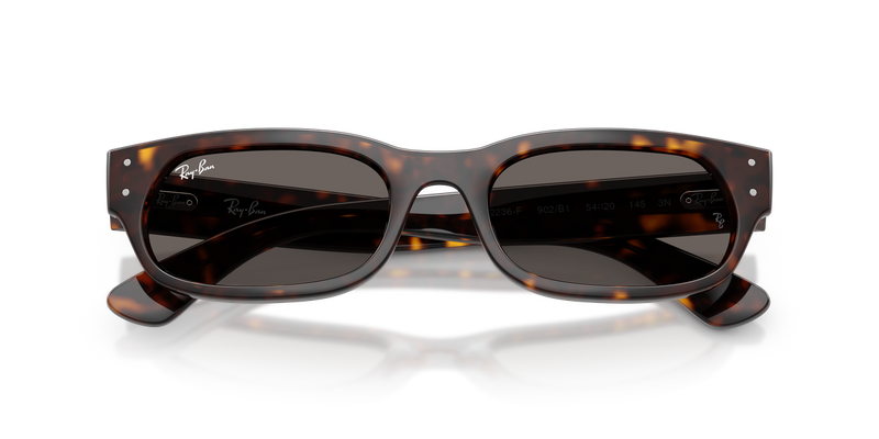 Ray-Ban RB2236F in Havana - Alternate View