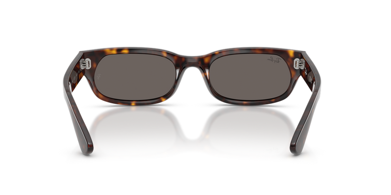 Ray-Ban RB2236F in Havana - Alternate View