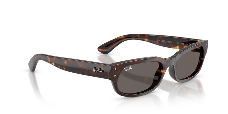 Ray-Ban RB2236F in Havana - Alternate View