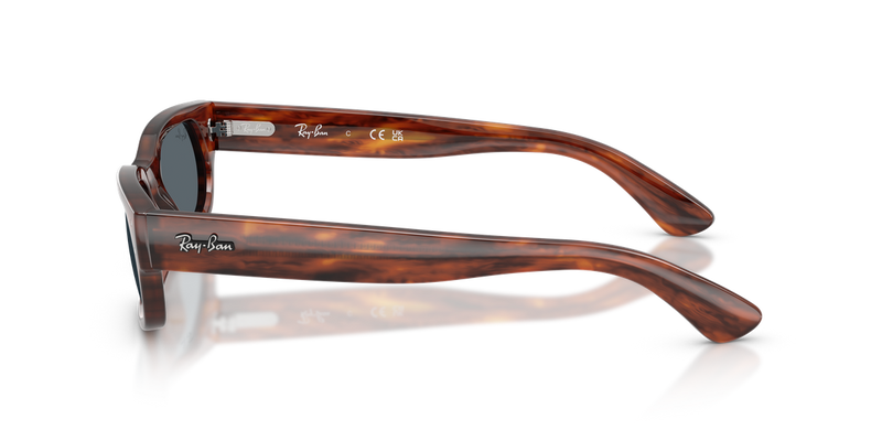 Ray-Ban RB2236F in Striped Havana - Alternate View