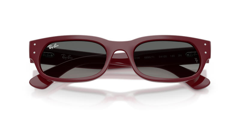 Ray-Ban RB2236 in Bordeaux - Side View