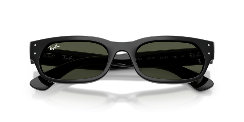Ray-Ban RB2236 in Black - Alternate View