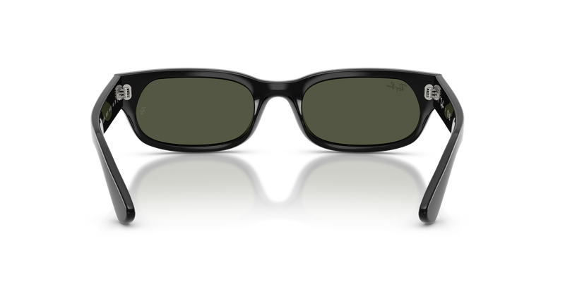 Ray-Ban RB2236 in Black - Alternate View