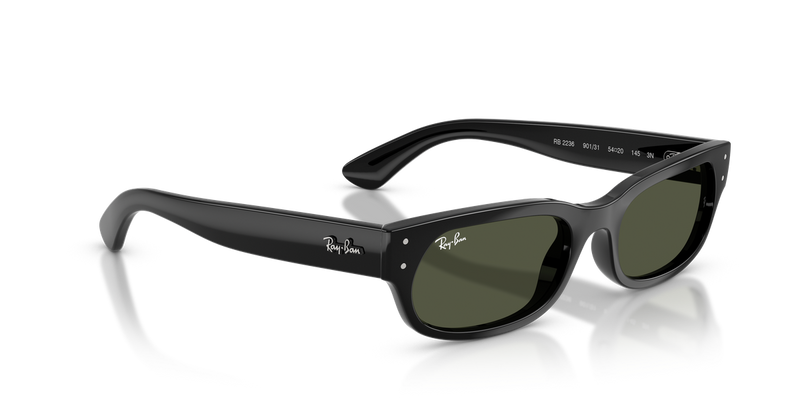 Ray-Ban RB2236 in Black - Alternate View
