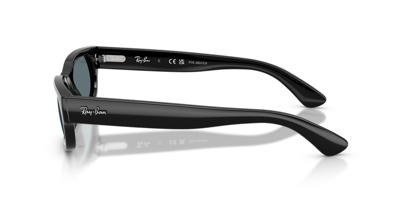 Ray-Ban RB2236 in Black - Alternate View