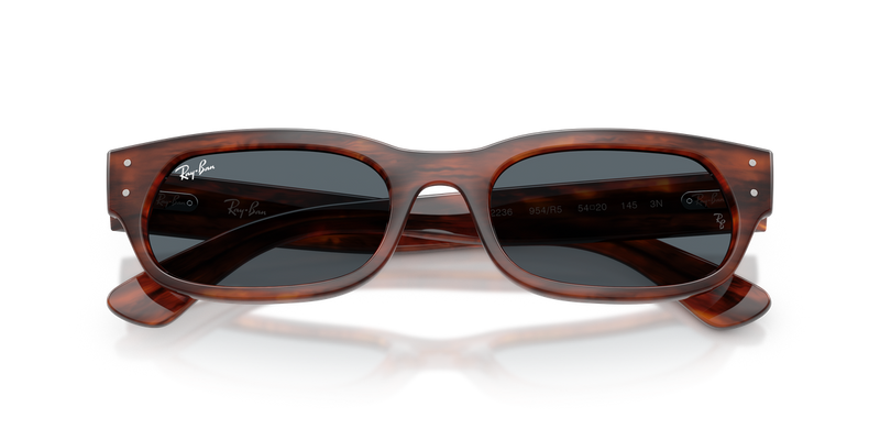 Ray-Ban RB2236 in Striped Havana - Alternate View