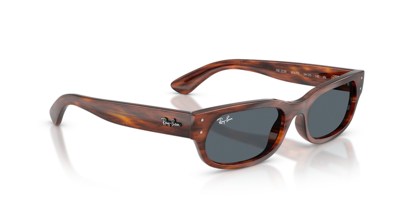 Ray-Ban RB2236 in Striped Havana - Alternate View
