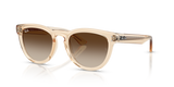 Transparent Nude / Light Brown Gradient Dark Brow (690213)