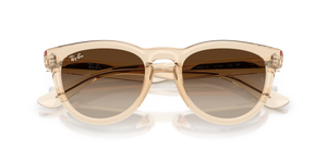 Transparent Nude / Light Brown Gradient Dark Brow (690213)