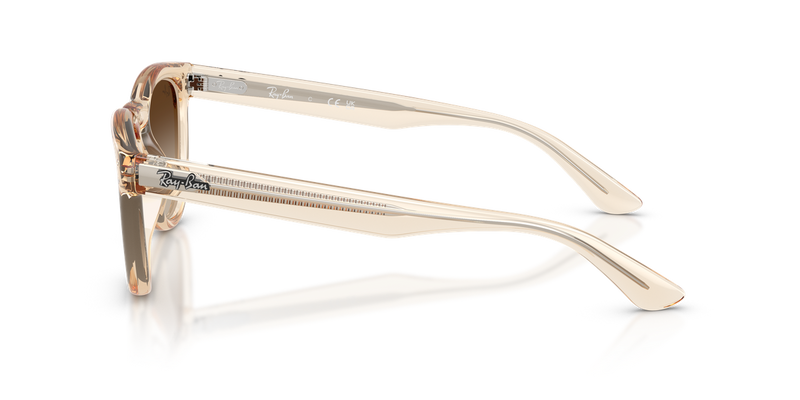 Ray-Ban RB2237 in Transparent Nude - Alternate View