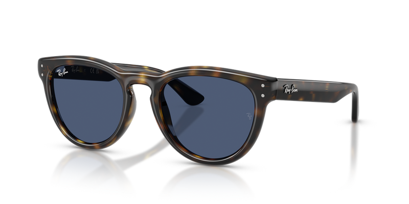 Ray-Ban RB2237 in Havana - Alternate View