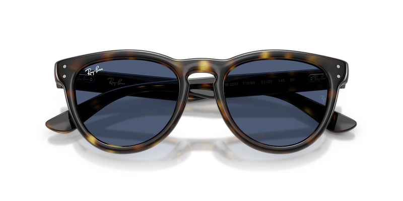 Ray-Ban RB2237 in Havana - Alternate View