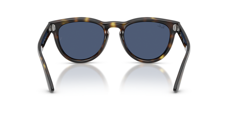 Ray-Ban RB2237 in Havana - Alternate View
