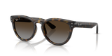 Havana / Polarized Light Grey Gradient Brown (710/T5)