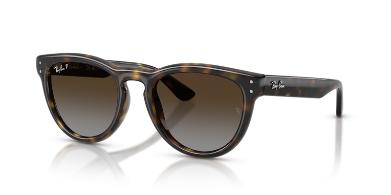 Ray-Ban RB2237 in Havana - Alternate View