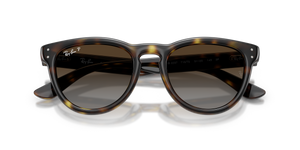 Havana / Polarized Light Grey Gradient Brown (710/T5)