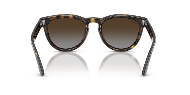 Ray-Ban RB2237 in Havana - Alternate View