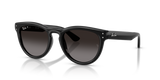 Black / Polarized Light Grey Gradient Grey (901/T3)
