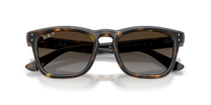 Havana / Polarized Light Grey Gradient Brow (710/T5)