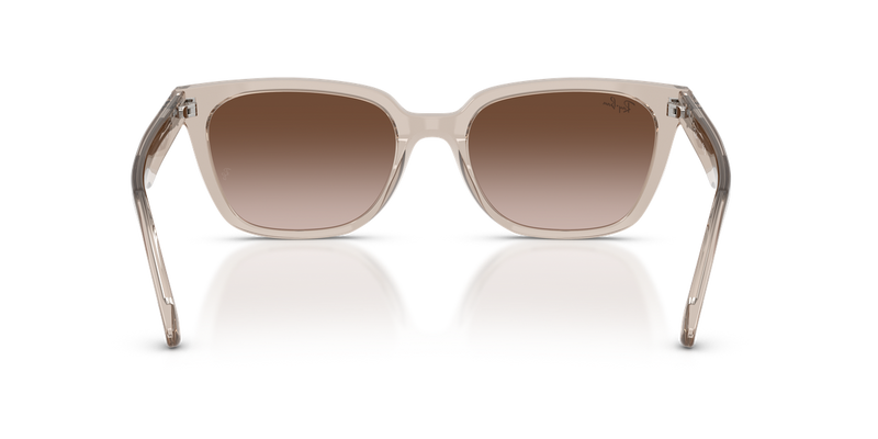 Ray-Ban RB2243D in Transparent Light Brown - Alternate View