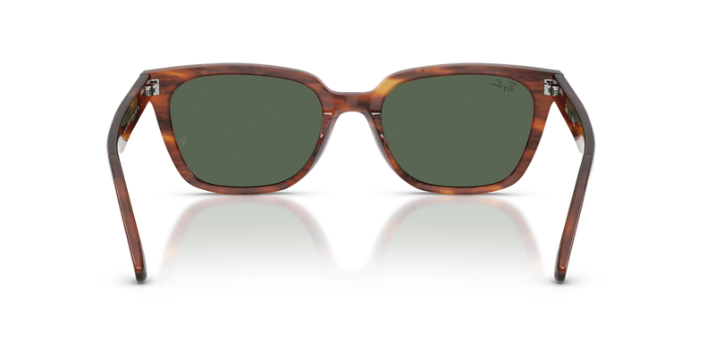 Ray-Ban RB2243D in Striped Havana - Alternate View
