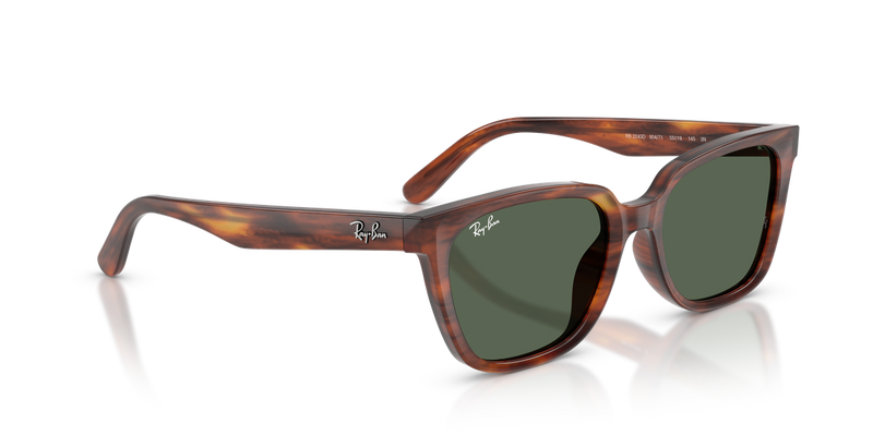 Ray-Ban RB2243D in Striped Havana - Alternate View