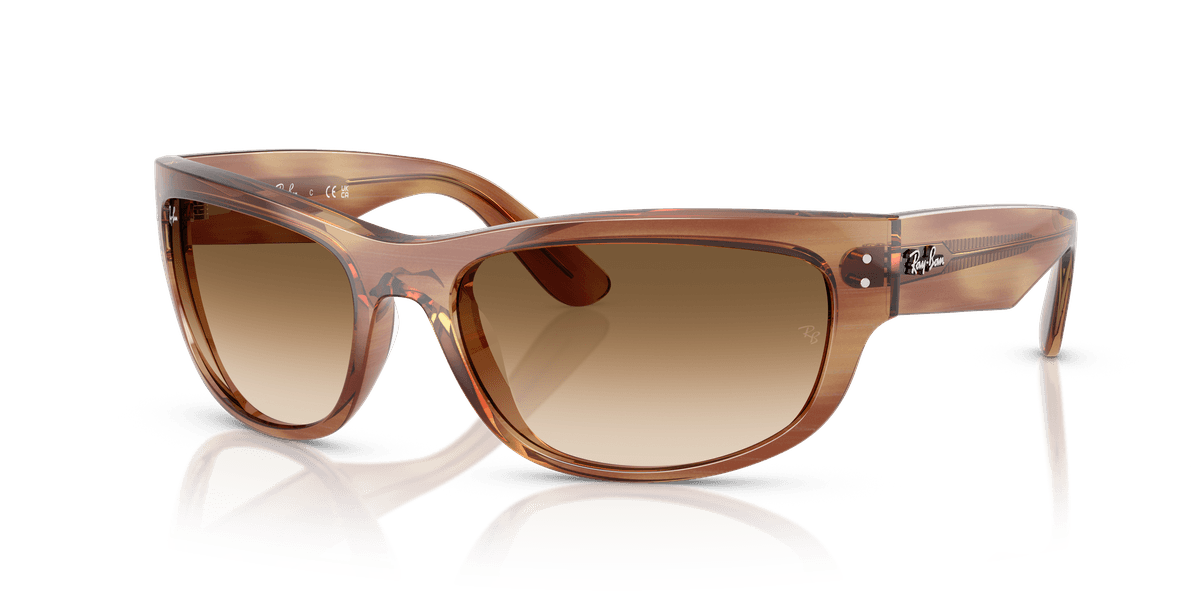 Ray-Ban MEGA BALORAMA RB2289