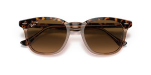 Havana On Transparent Brown / Brown Polarized (1292M2)