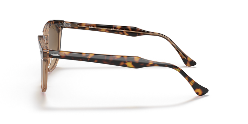 Ray-Ban HAWKEYE in Havana On Transparent Brown - Back View
