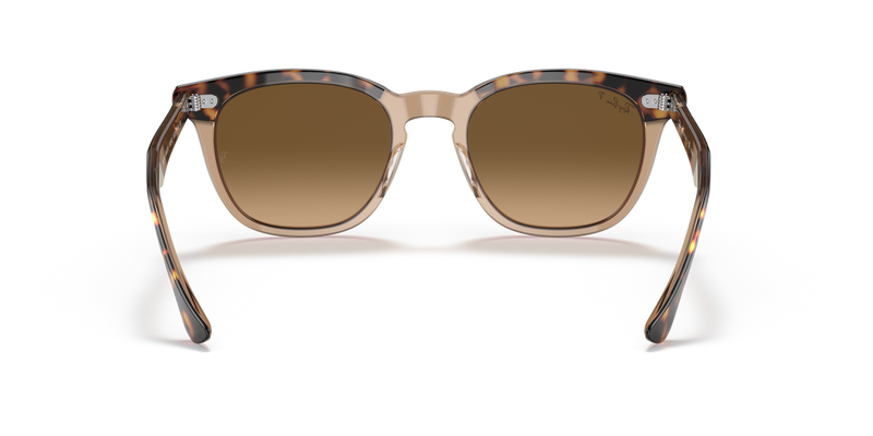 Ray-Ban HAWKEYE in Havana On Transparent Brown - Temple Detail