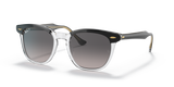 Black On Transparent / Grey Polarized (1294M3)