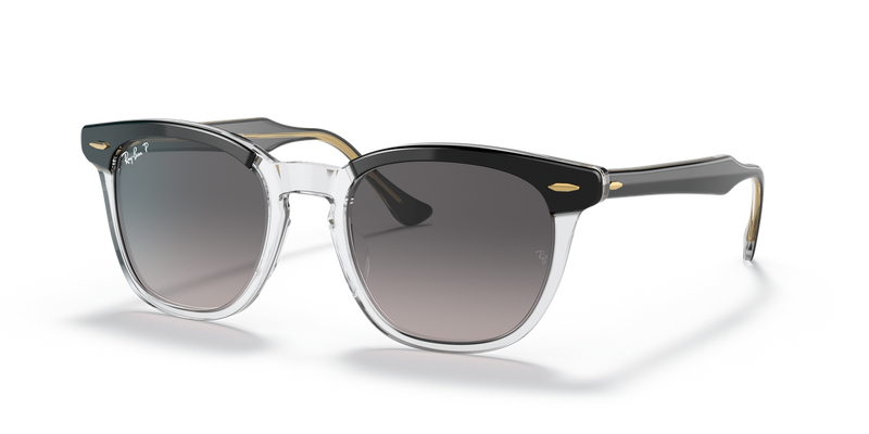 Ray-Ban HAWKEYE in Black On Transparent - Alternate View