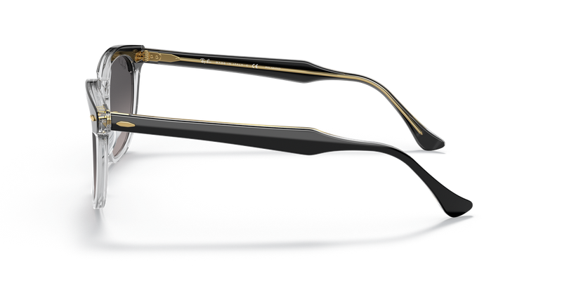 Ray-Ban HAWKEYE in Black On Transparent - Alternate View