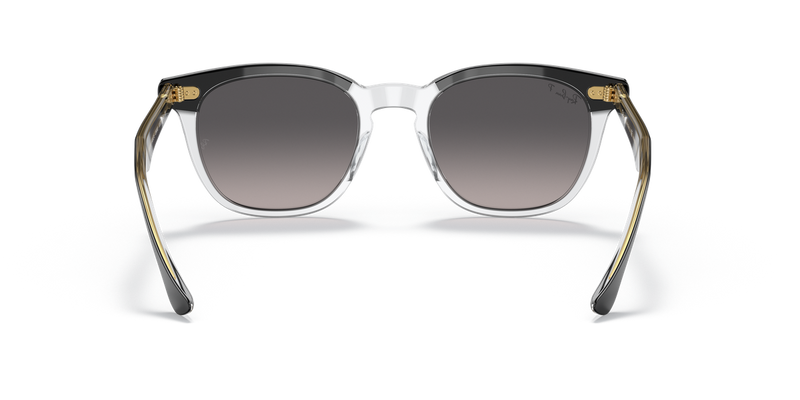 Ray-Ban HAWKEYE in Black On Transparent - Alternate View