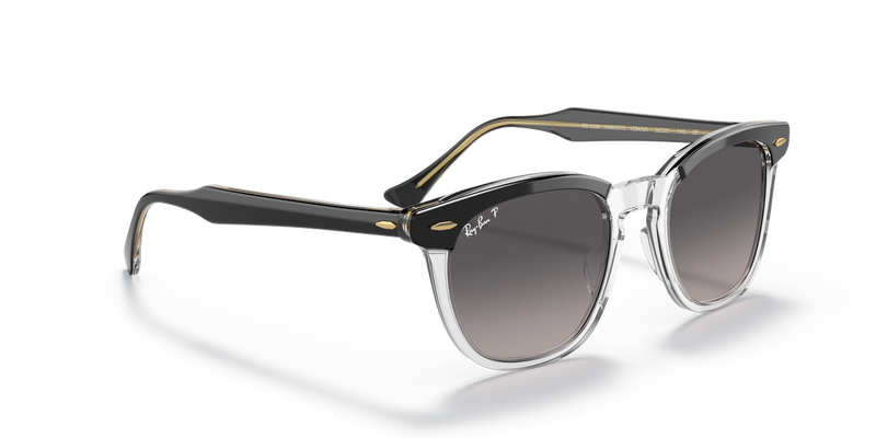 Ray-Ban HAWKEYE in Black On Transparent - Alternate View