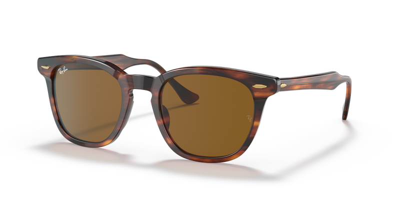 Ray-Ban HAWKEYE in Striped Havana - Alternate View