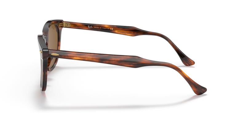 Ray-Ban HAWKEYE in Striped Havana - Alternate View