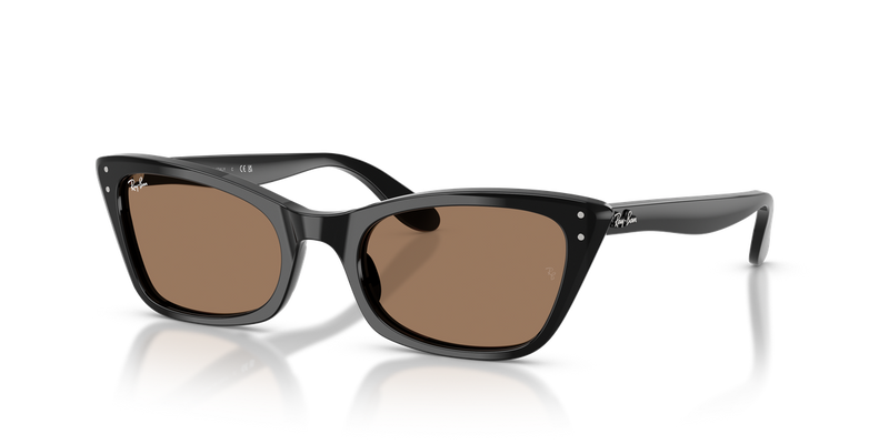 Ray-Ban LADY BURBANK in Black - Alternate View