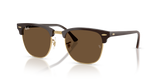 Brown & Gold / Dark Brown (687853)