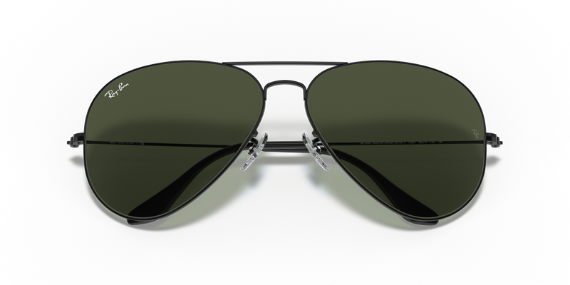 Ray-Ban AVIATOR LARGE METAL II in Black / G-15 Green (L2821) - Side View