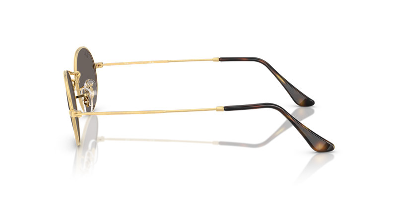 Ray-Ban OVAL in Arista Gold - Alternate View