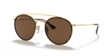 Arista Gold / Brown Polarized (001/57)