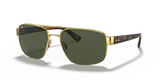 Arista Gold / G-15 Green (001/31)