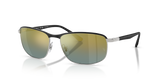 Black On Silver / Gold Polarized+ (9144J0)