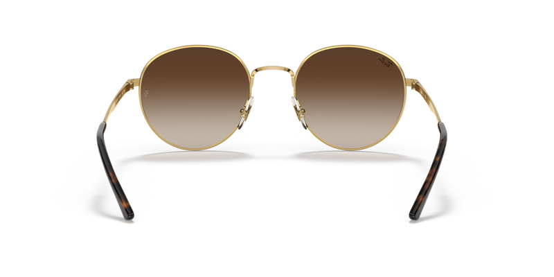 Ray-Ban RB3681 in Arista Gold - Temple Detail