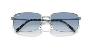 Silver / Blue (003/3F)