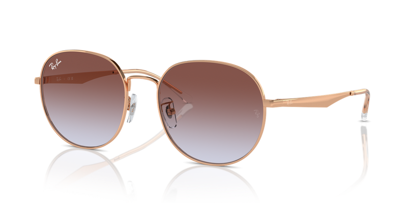 Ray-Ban RB3727D in Rose Gold / Light Blue & Violet (9202I8) - Alternate View