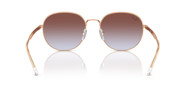 Ray-Ban RB3727D in Rose Gold / Light Blue & Violet (9202I8) - Alternate View