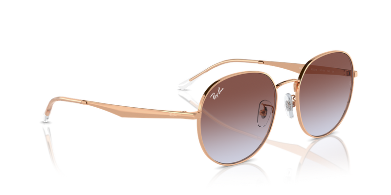 Ray-Ban RB3727D in Rose Gold / Light Blue & Violet (9202I8) - Alternate View